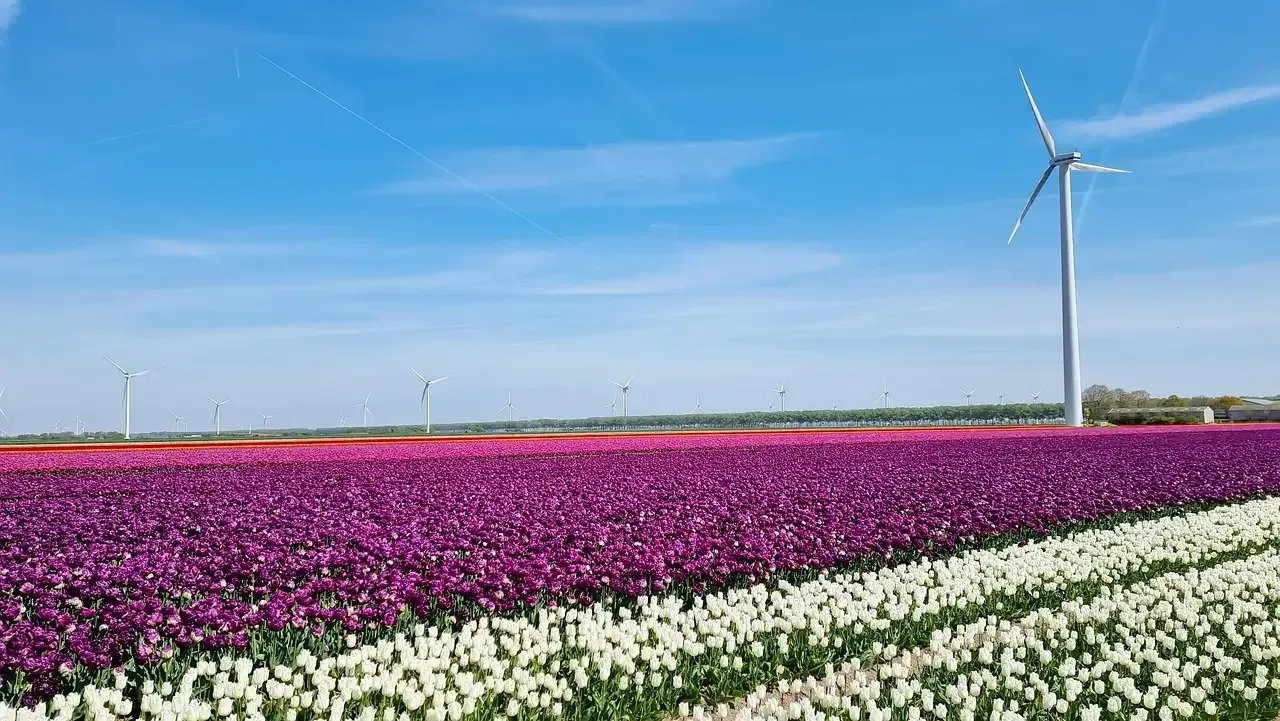 Almere Flevoland: ontdek de stad en omgeving