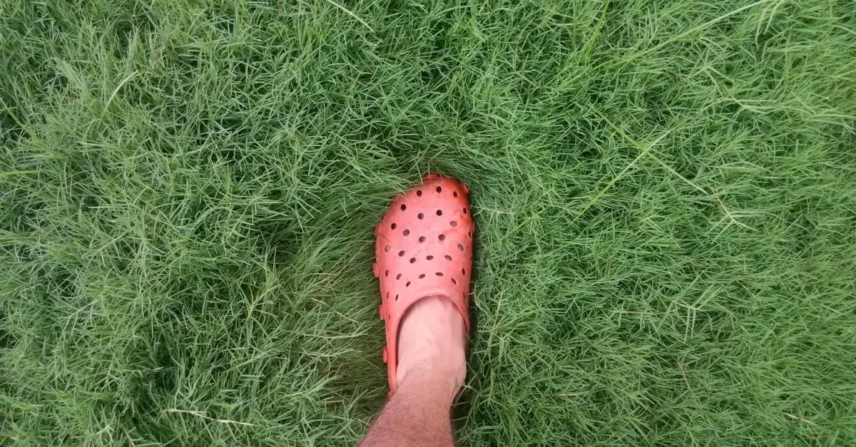 Crocs Winkel Almere: Comfortabele Schoenen Kopen
