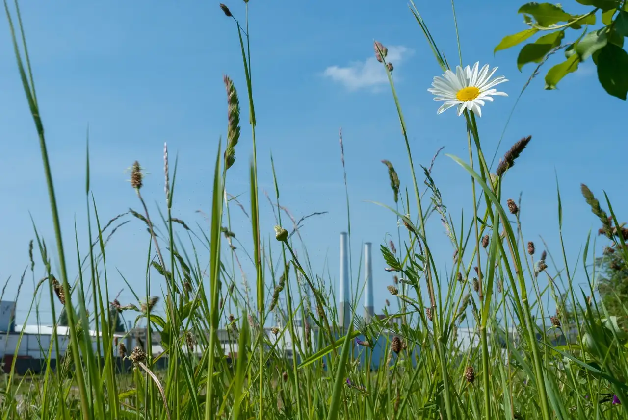 Nieuwbouw Almere Haven: Ontdek de nieuwste woningen